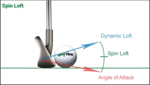 Role of Loft and Spin